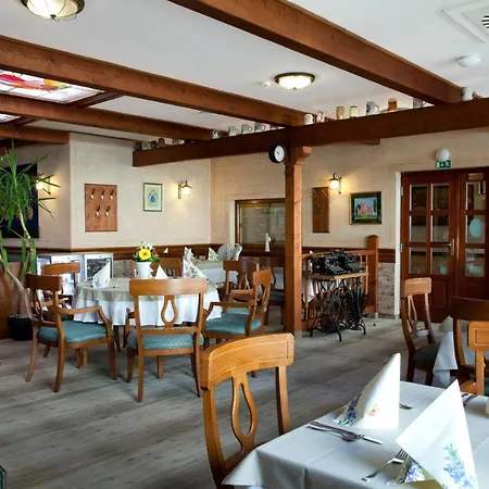 Hotel Wellness Hotel Ida 4*