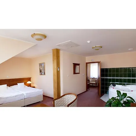 Wellness Ida فندق