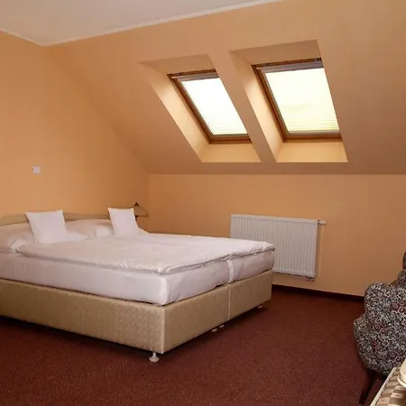 Wellness Hotel Ida 4* Frantiskovy Lazne