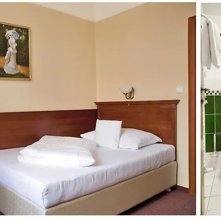 Wellness Hotel Ida Frantiskovy Lazne