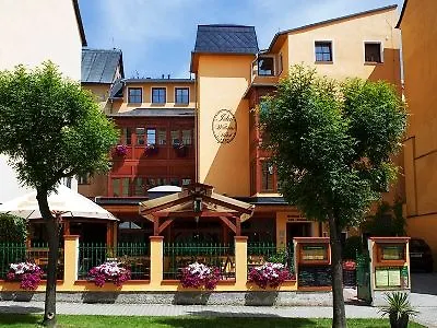 فندق Wellness Ida Františkovy Lázně