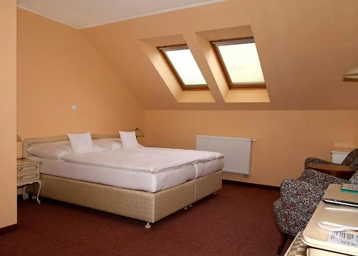 Wellness Ida 4* Františkovy Lázně